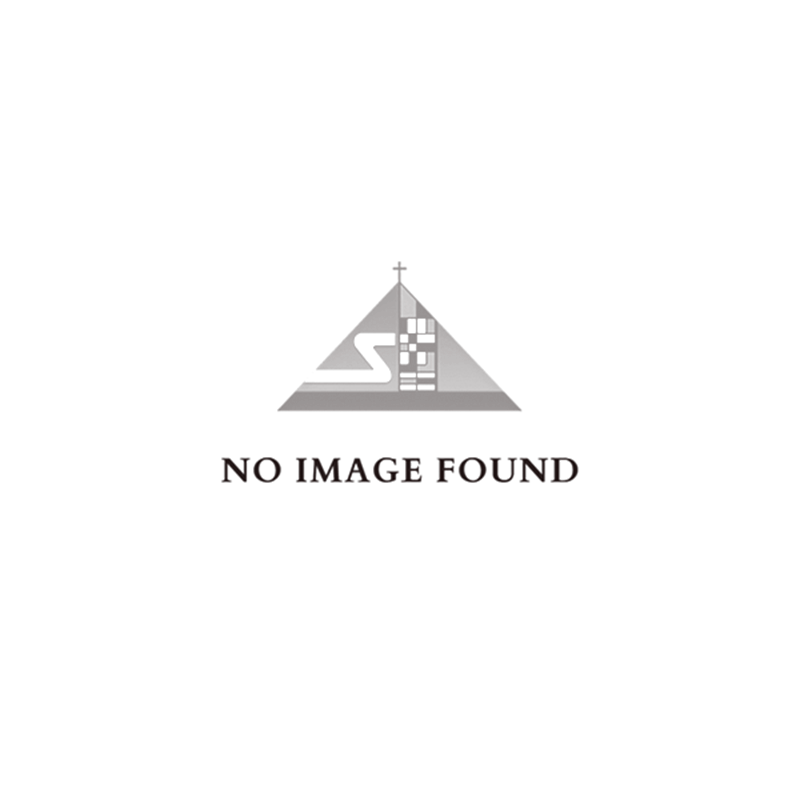 No Image Found