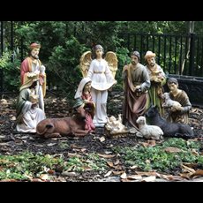 Exclusive 20" Nativity Set SKU 53314
