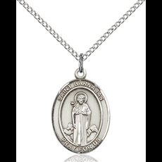 St. Barnabas SKU 8216SS/18SS