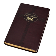 NCB St. Joseph New Catholic Burgundy Bible (Gift Edition - Large Type) SKU 614/19BG