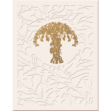Order of Celebrating Matrimony Ritual Cards SKU 193-REV