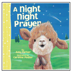 A Night Night Prayer SKU 9781400324316