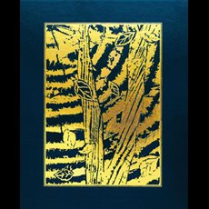 NEW!!! Lectionary for Mass: Supplement SKU LMSRE